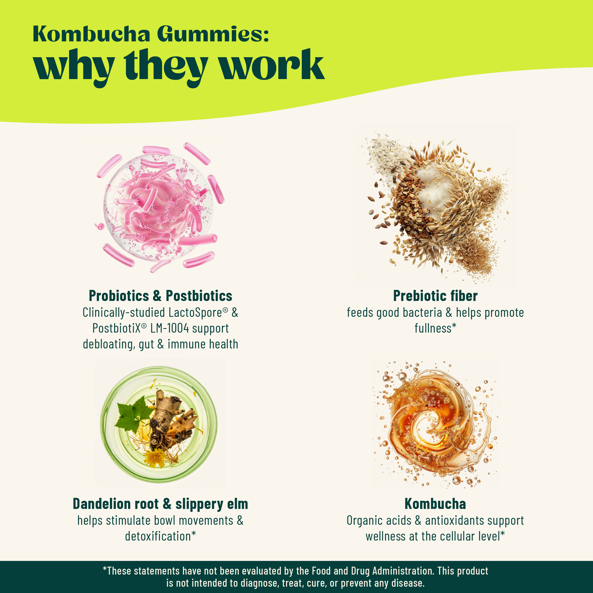 Infographic about kombucha gummies with illustrations and text on a white background.